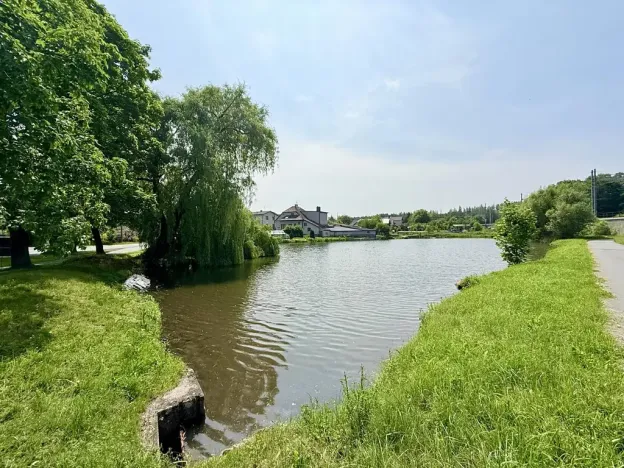 Prodej pozemku pro bydlení, Olšany, 1816 m2