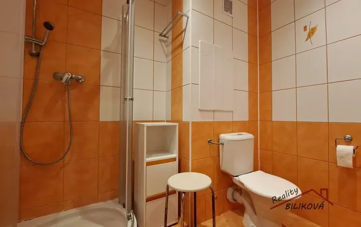 Prodej bytu 2+1, Brandýs nad Labem-Stará Boleslav, Vrbová, 55 m2