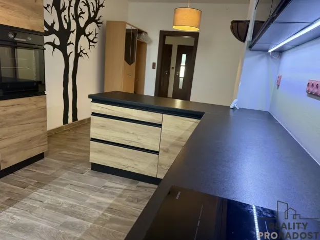 Pronájem bytu 3+kk, Podivín, 90 m2