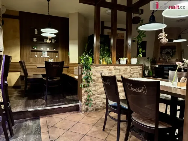 Pronájem restaurace, Topolná, 908 m2