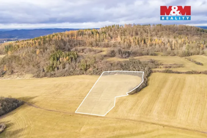 Prodej louky, Kublov, 13853 m2