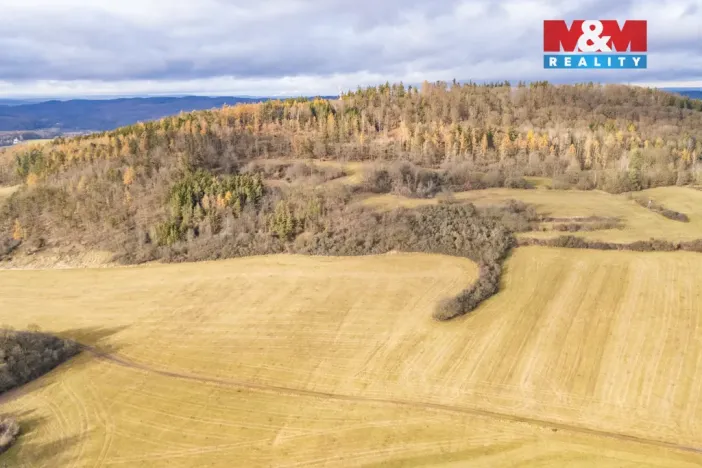 Prodej louky, Kublov, 13853 m2