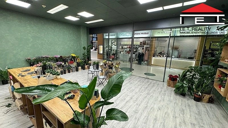 Pronájem obchodního prostoru, Brno, náměstí Svobody, 64 m2