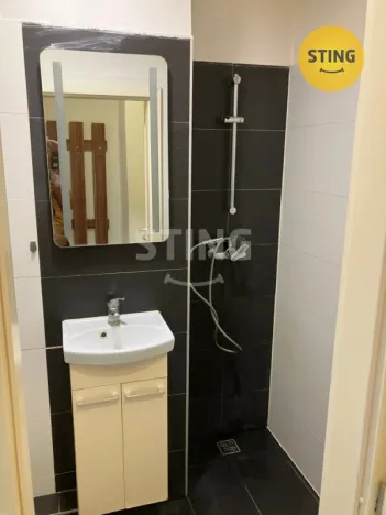 Pronájem bytu 1+kk, Ostrava, Krakovská, 22 m2
