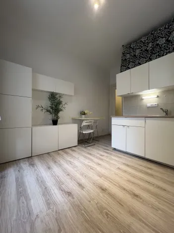 Pronájem bytu 1+kk, Praha - Vršovice, Na spojce, 19 m2