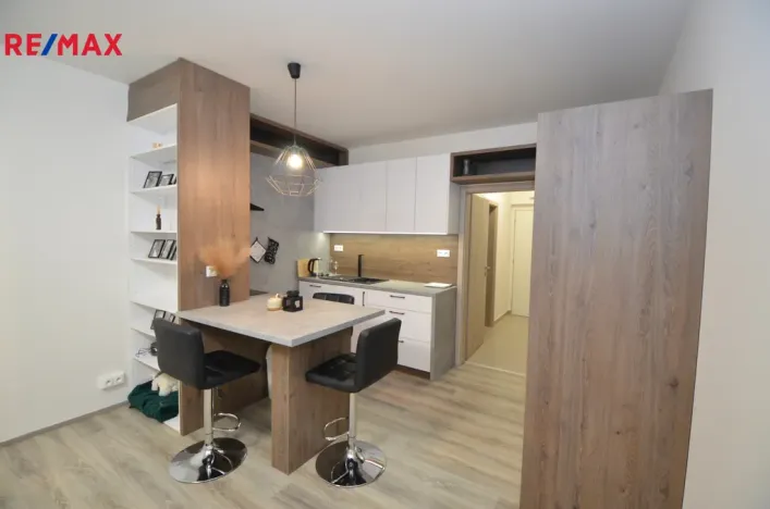 Pronájem bytu 1+kk, Olomouc, Aloise Rašína, 33 m2