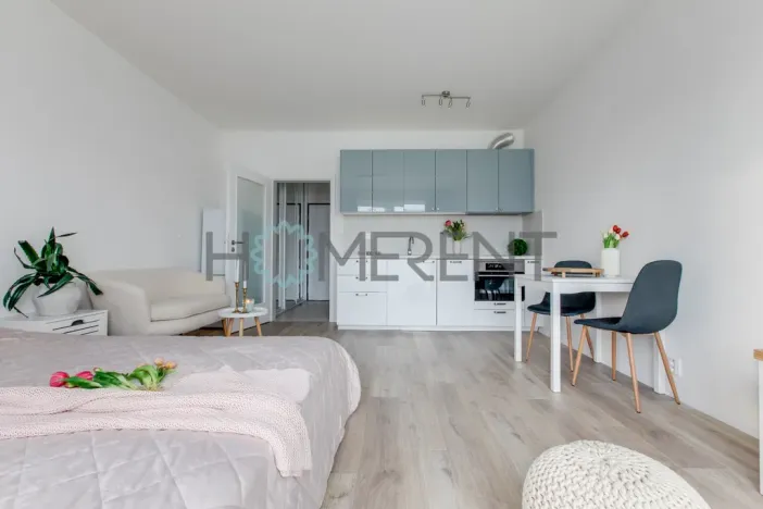 Pronájem bytu 1+kk, Brandýs nad Labem-Stará Boleslav - Stará Boleslav, Josefa Truhláře, 31 m2