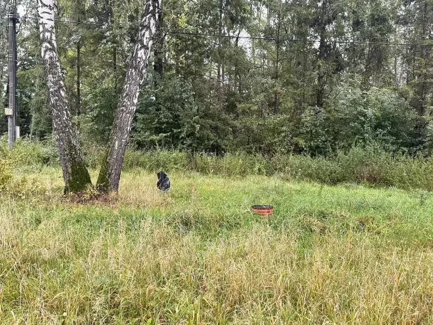 Prodej pozemku, Lučina, 2602 m2