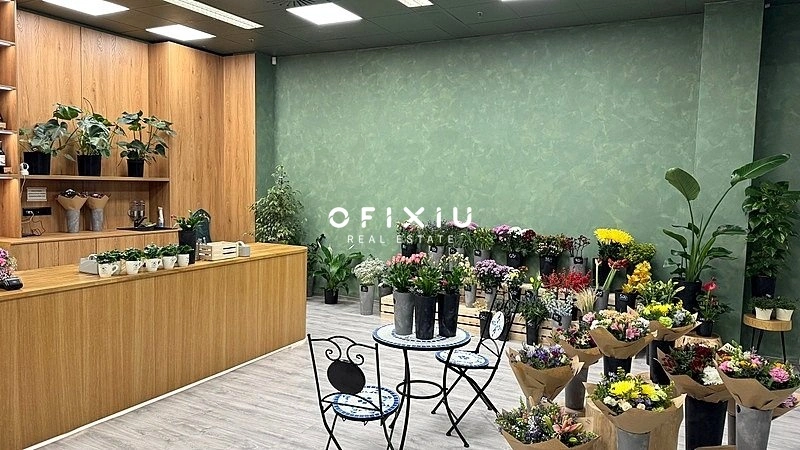 Pronájem obchodního prostoru, Brno, náměstí Svobody, 65 m2