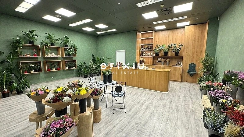 Pronájem obchodního prostoru, Brno, náměstí Svobody, 65 m2