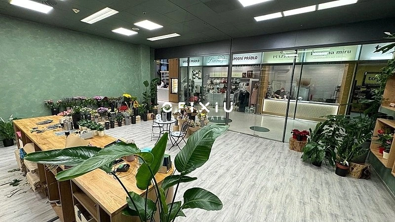 Pronájem obchodního prostoru, Brno, náměstí Svobody, 65 m2