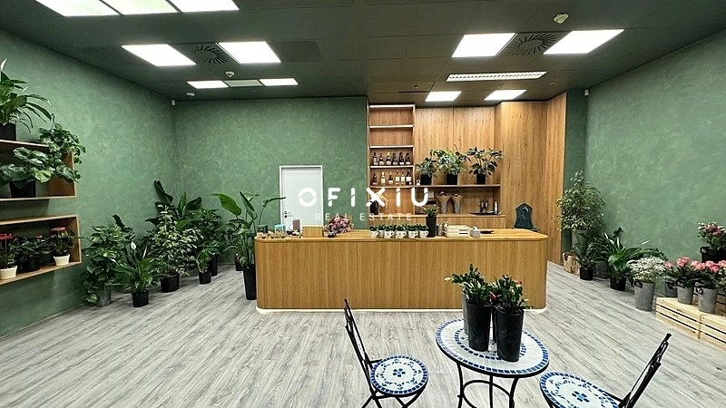 Pronájem obchodního prostoru, Brno, náměstí Svobody, 65 m2