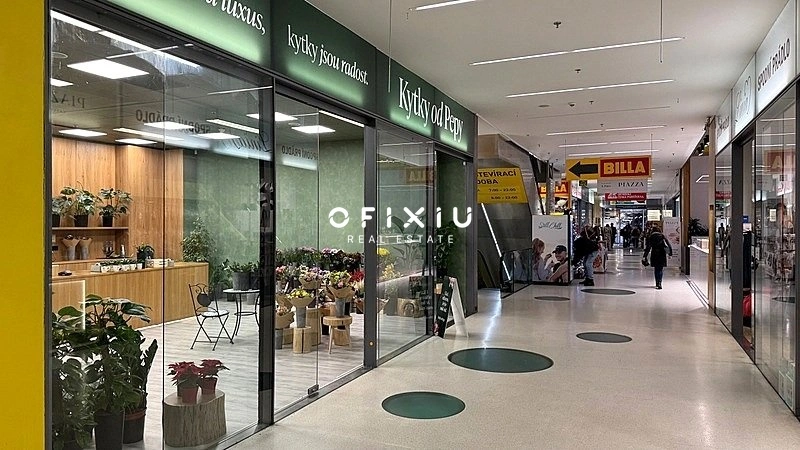 Pronájem obchodního prostoru, Brno, náměstí Svobody, 65 m2