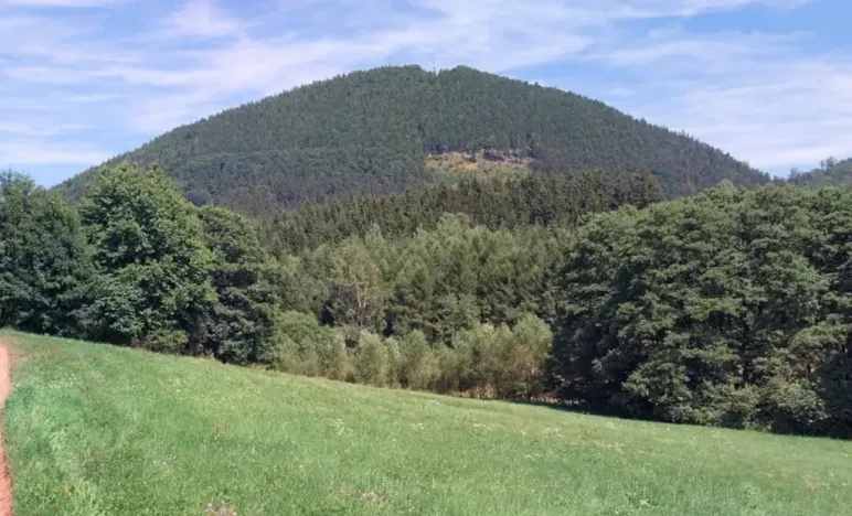 Prodej louky, Bernartice, 13423 m2