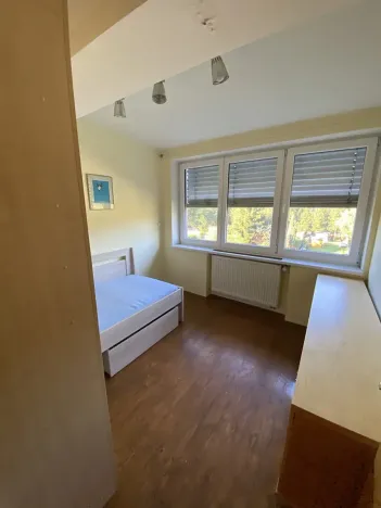 Pronájem bytu 5+kk, Liberec, Wintrova, 150 m2