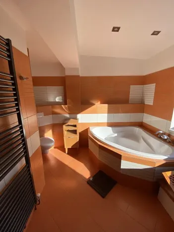 Pronájem bytu 5+kk, Liberec, Wintrova, 150 m2