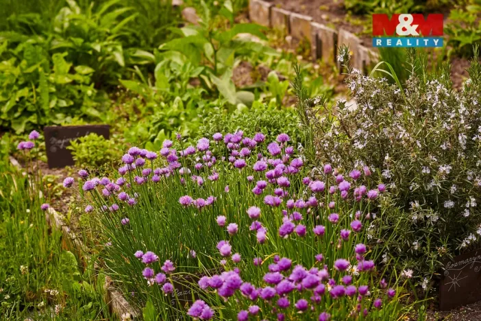 Prodej rodinného domu, Volfartice, 179 m2