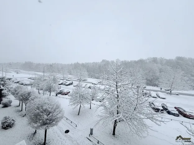 Prodej bytu 3+1, Havířov, Letní, 82 m2