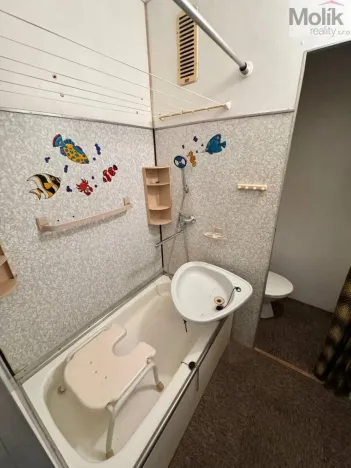 Pronájem bytu 2+kk, Bílina - Teplické Předměstí, Sídliště Za Chlumem, 36 m2