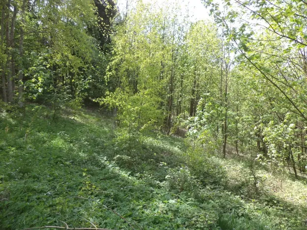 Prodej pozemku, Líšný - Líšný 2.díl, 1958 m2