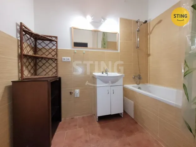 Pronájem bytu 1+1, Ostrava, Zeyerova, 31 m2