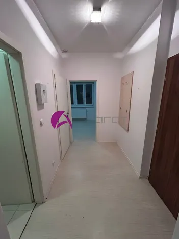 Pronájem bytu 1+1, Olomouc, Dobrovského, 46 m2