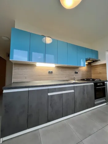 Pronájem bytu 3+1, Ostrava - Bělský Les, Ladislava Hosáka, 68 m2