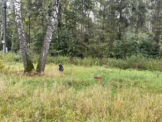 Prodej pozemku pro bydlení, Lučina, 2602 m2