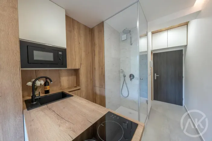 Pronájem bytu 1+kk, Opava - Předměstí, Haškova, 17 m2