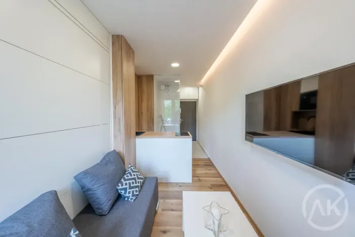 Pronájem bytu 1+kk, Opava - Předměstí, Haškova, 17 m2