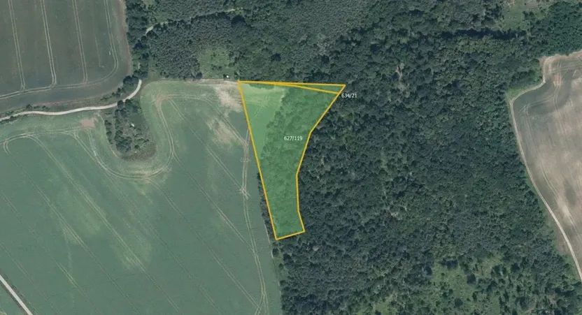 Prodej pole, Džbánice, 6560 m2