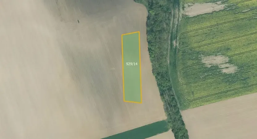 Prodej pole, Dnešice, 3831 m2