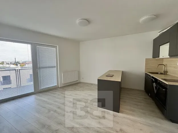 Pronájem bytu 2+kk, Olomouc, Wolkerova, 58 m2