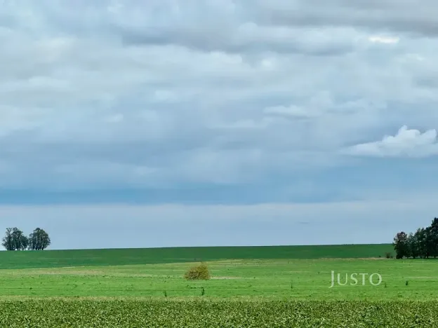 Prodej pole, Černuc, 7167 m2