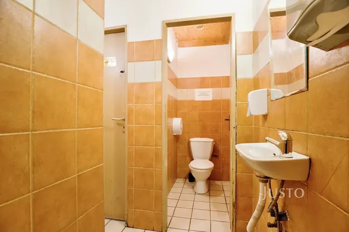 Prodej obchodního prostoru, Ústí nad Labem, Pod Parkem, 85 m2