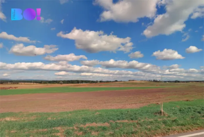 Prodej pole, Vacenovice, 6305 m2