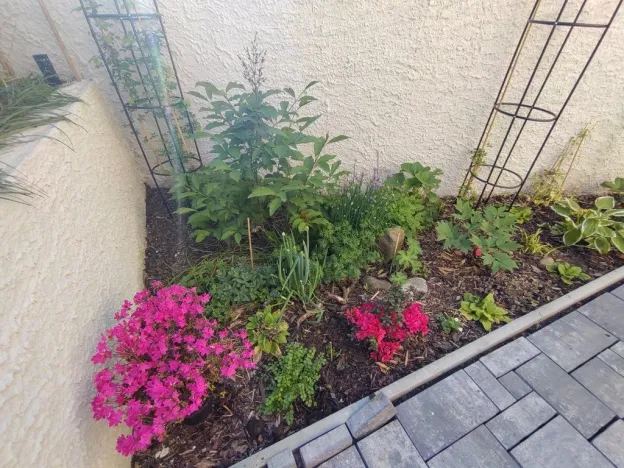 Prodej bytu 2+1, Kamenický Šenov, Palackého, 75 m2