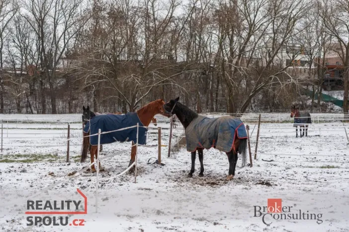 Prodej - jiné, Nučice, 2093 m2