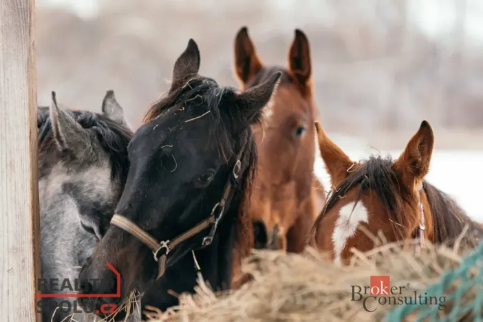 Prodej - jiné, Nučice, 2093 m2