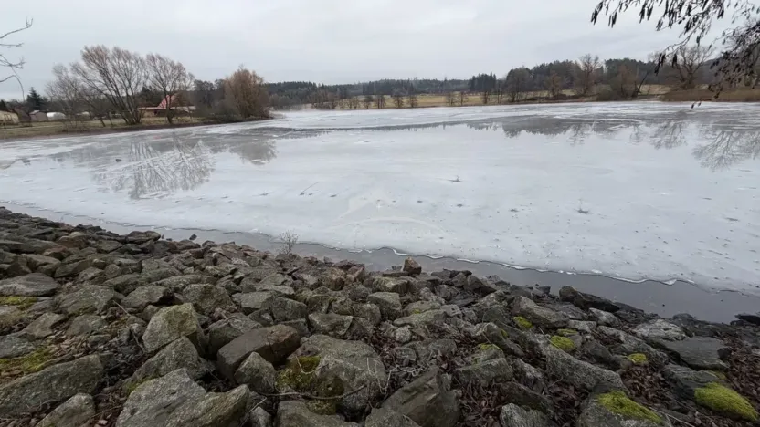 Prodej rybníku, Častrov, Častrov, 48638 m2