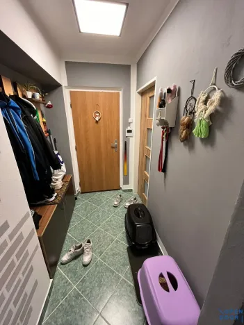 Pronájem bytu 2+1, Horní Slavkov, Kounice, 54 m2