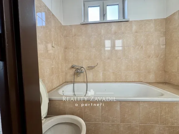 Prodej bytu 1+1, Český Těšín, Na Olšinách, 38 m2