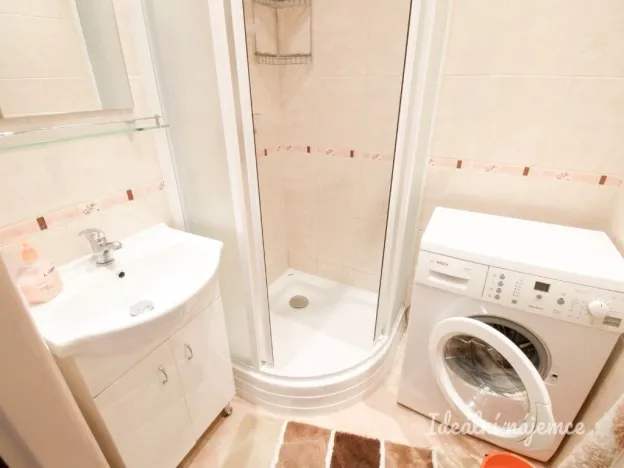 Pronájem bytu 2+1, Brno - Staré Brno, Křídlovická, 53 m2