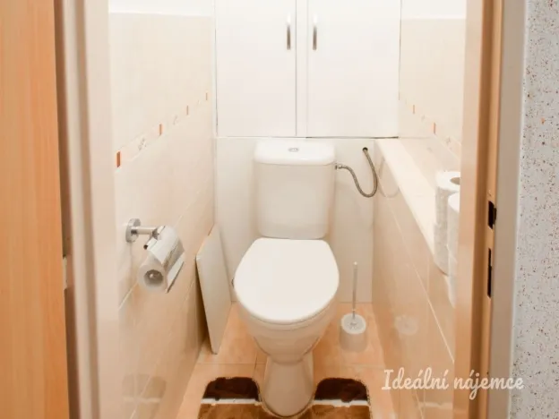 Pronájem bytu 2+1, Brno - Staré Brno, Křídlovická, 53 m2