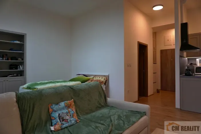 Pronájem bytu 1+kk, Olomouc - Hodolany, Holická, 42 m2