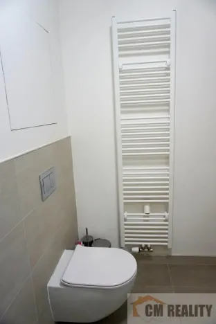 Pronájem bytu 1+kk, Olomouc - Hodolany, Holická, 42 m2