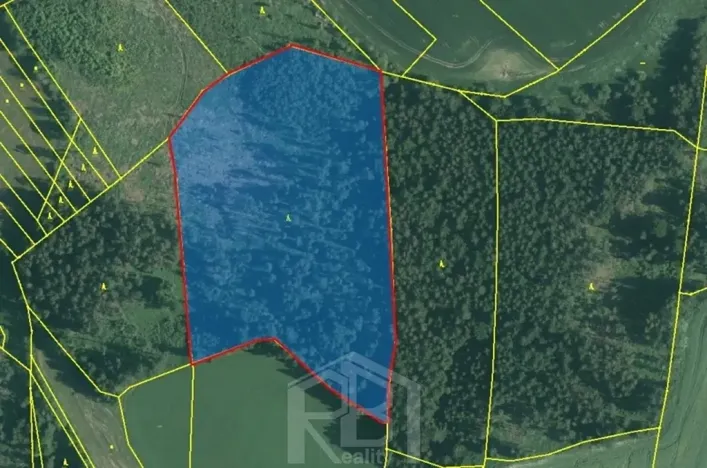 Prodej lesa, Bořetín, 31787 m2
