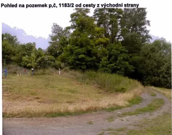 Prodej lesa, Dolní Věstonice, 1179 m2