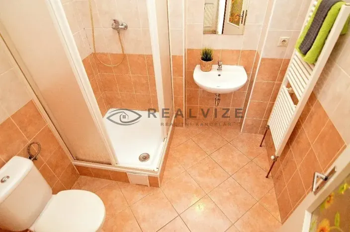 Pronájem bytu 1+kk, České Budějovice, K. V. Raise, 52 m2