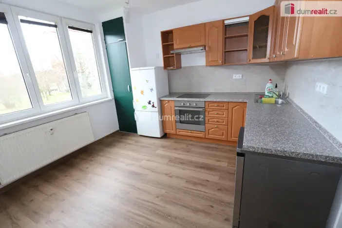 Pronájem bytu 1+1, Cheb, Americká, 36 m2